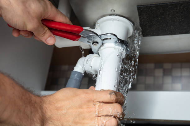 Best Fire Damage Restoration  in Nevada, MO