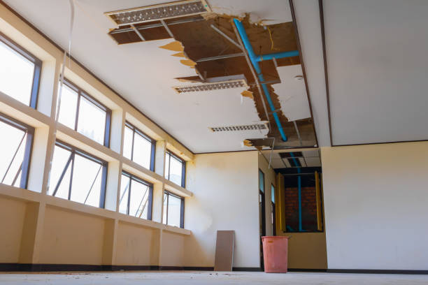 Best Ceiling water damage repair  in Nevada, MO