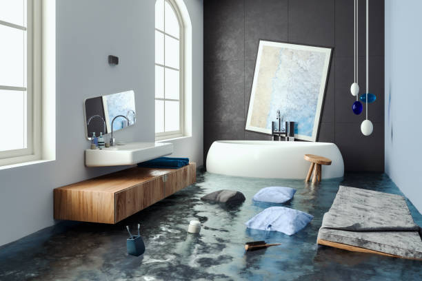 Best Flood damage cleanup  in Nevada, MO