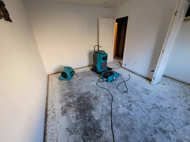 Best Water damage cleanup near me  in Nevada, MO