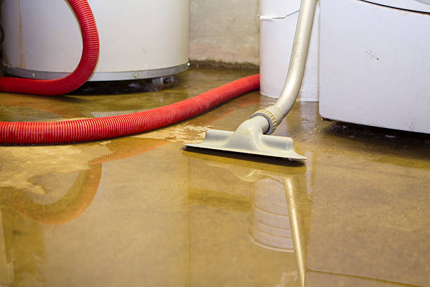 Best Residential water damage restoration  in Nevada, MO