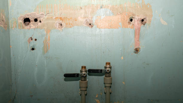 24/7 water damage repair in Nevada, MO