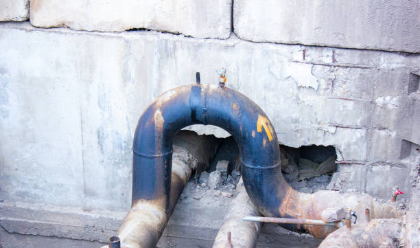 Best Professional water damage repair  in Nevada, MO