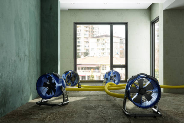 Best Water damage restoration near me  in Nevada, MO